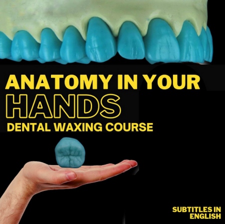 Dental Anatomy in Your Hands - Dental Waxing Course