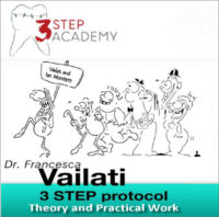 3STEP Academy Video Course (12 Lectures) 3STEP Academy Video Course (12 Lectures)